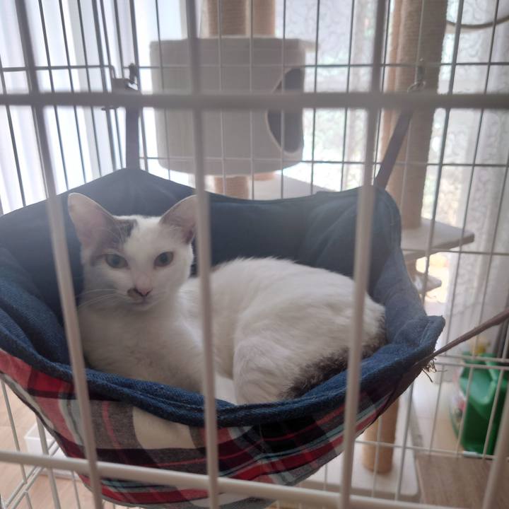 355d0ed3 a428 446a ba65 220605d2e7bb 1689480573307