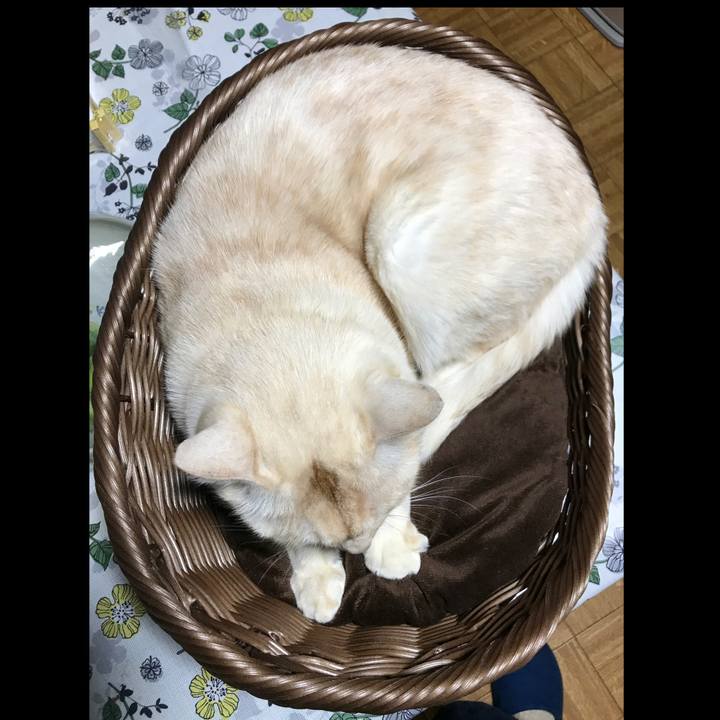 355d1b20 b233 4cce a69c e41dcdf433a2 1585391659356