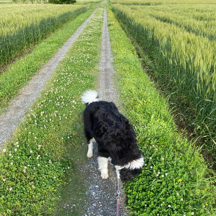 355d5011 bb80 4546 a21a 3a664a39e079 1651101203480