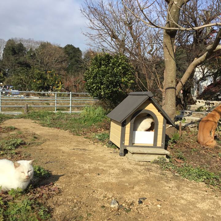 355d5f02 7506 46e7 89d4 af10b00c0f56 1513819712331