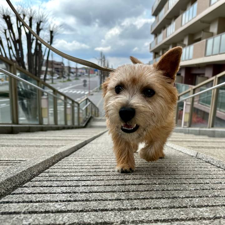 355db4f4 69b8 47ee b37c 50331e1b435f 1712584316005