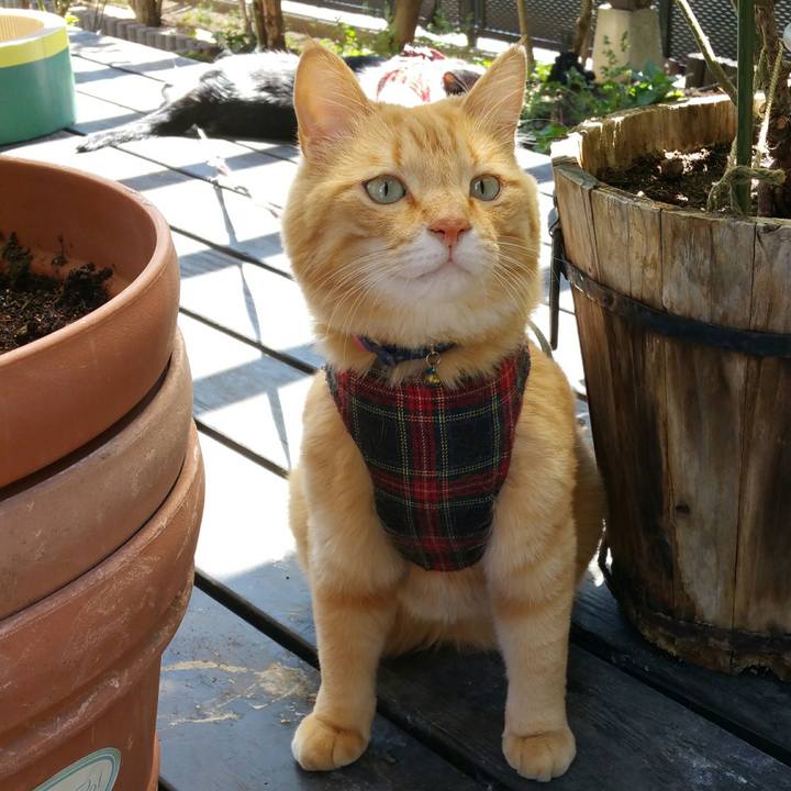 355dcc7a 1fea 4fe9 83d4 39adfc3c0df5 1555552126182