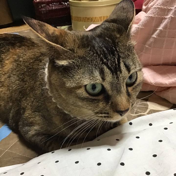 355dd596 8935 4e41 b461 06a41828ea30 1651223826580