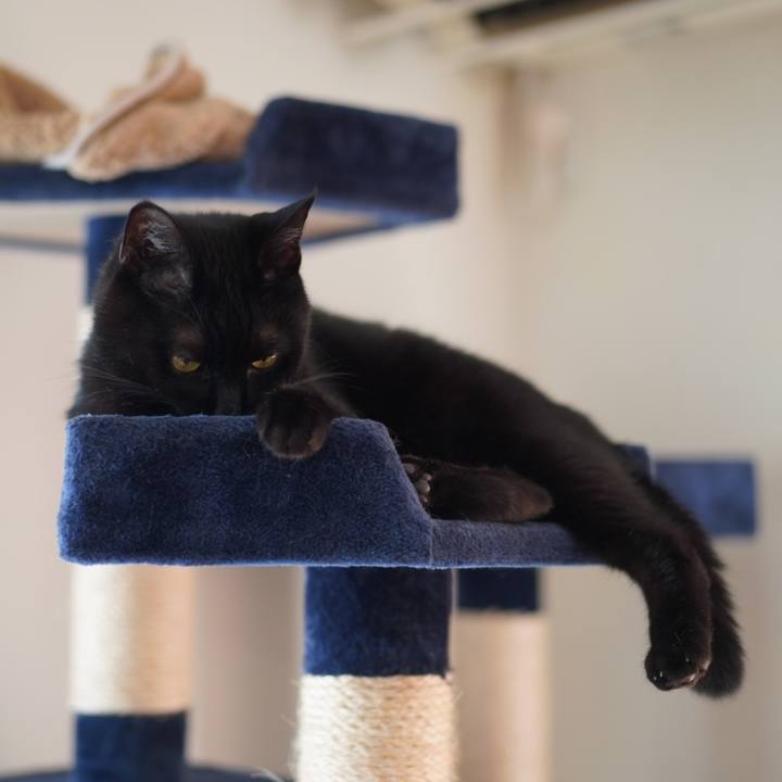 355df898 962a 4925 881a 5995b96a86be 1627476740815