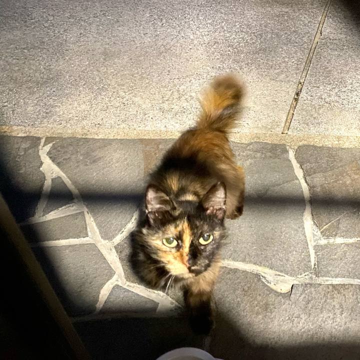 355e5e8f 1ff3 4191 8c35 29ac75f04807 1686666137247