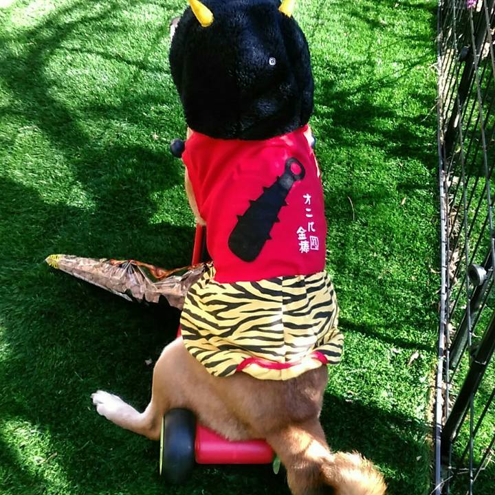 355e8470 156f 445e ab74 86c4f395d79b 1549118716314