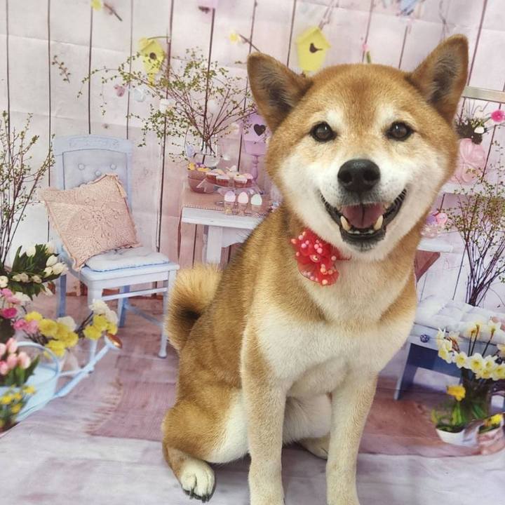 355eb3b0 9e0d 4095 b768 2e609f3d3e01 1715583617027