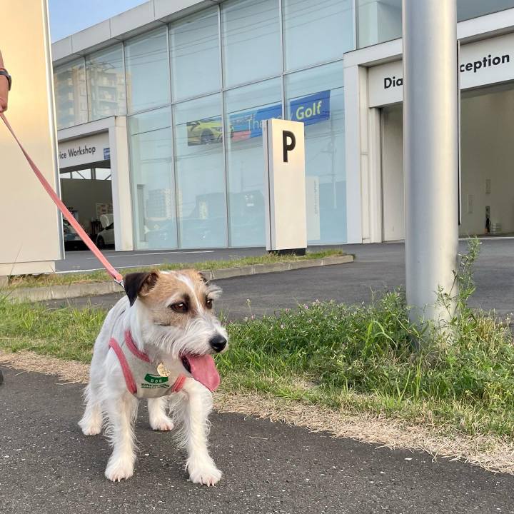 355eba6d 7f6e 4b44 b330 103531abe045 1650894923012