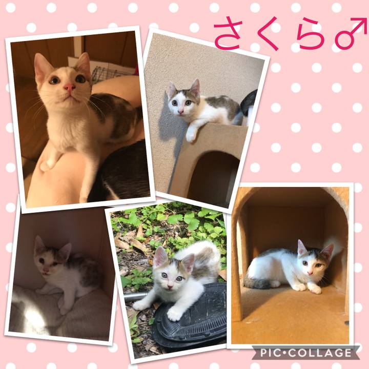 355edfec 1d19 4ee1 b5a4 6ea5529812d8 1599479417521