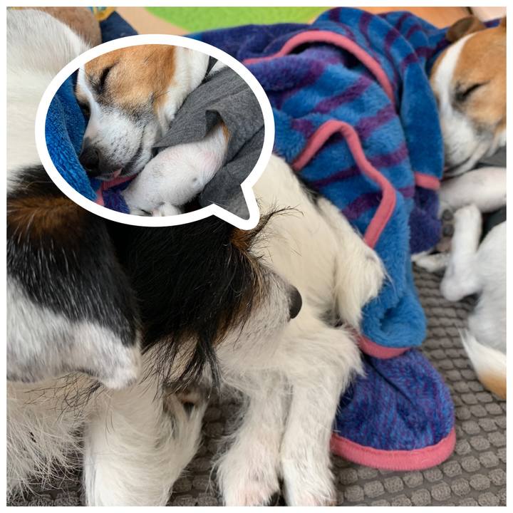 355ee61a 98d9 40cc 8c82 2bd36065628b 1559019889370