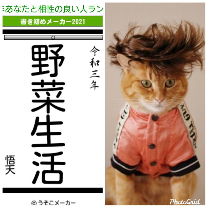 355f0058 069c 4aa3 8b69 b05a4899395b 1609683552384