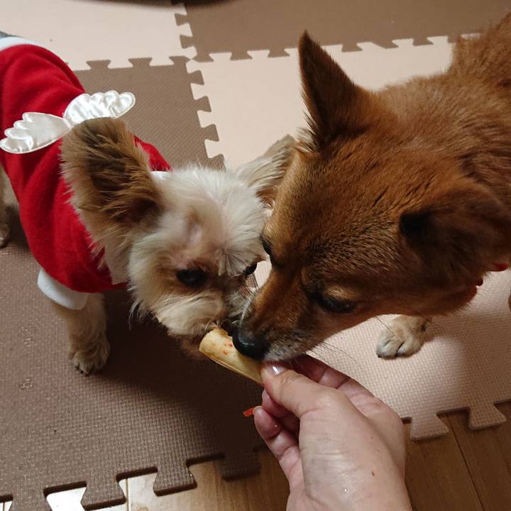 355f037b 7729 49d1 aa9f 45b36263454e 1576937154325