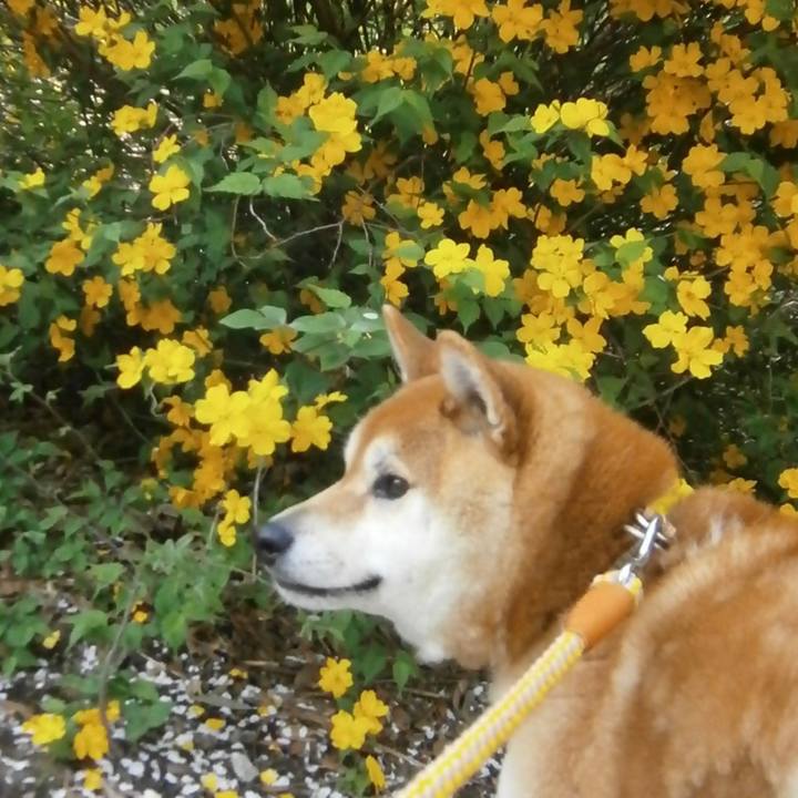 355f2856 b17a 41a6 9735 f2a27fea8257 1618290452068