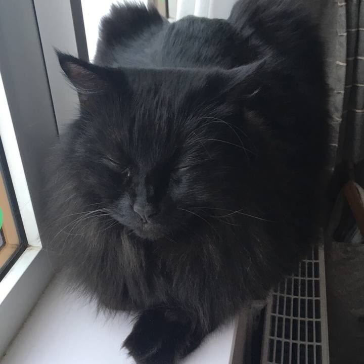 355f3803 5231 455c 91c1 90d1a40e334c 1545533927157