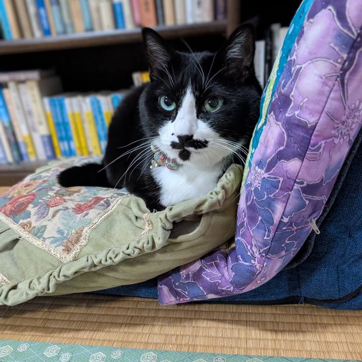 355f3a67 9c3f 4d19 9276 ff0ab7aed320 1763589890717