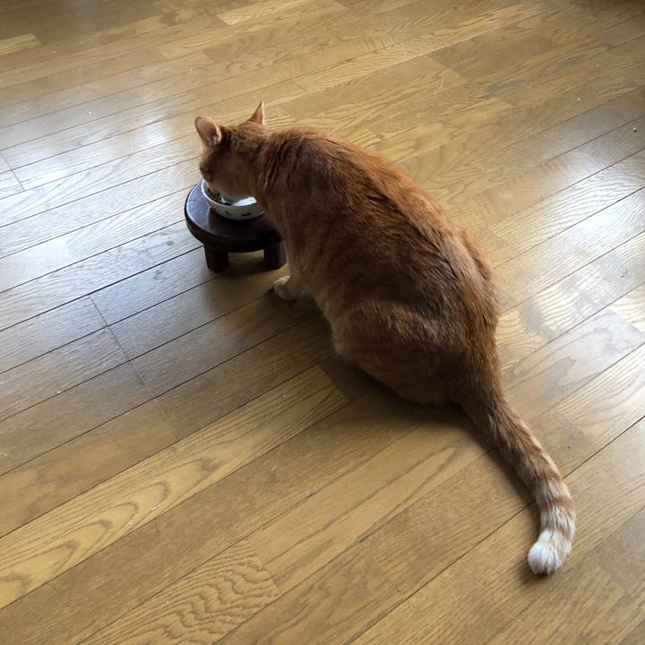 355f9972 1f5d 47c1 8ba4 afe678a96916 1648332239398