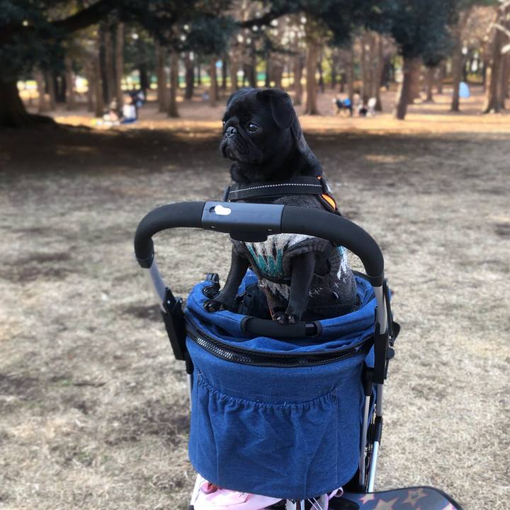 355fa118 a400 41f0 aba6 729eb4c1dc83 1612677358416