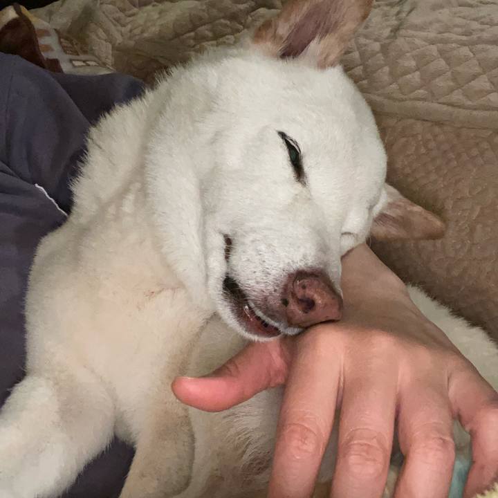 355fabf7 6352 4902 a623 7e7b42769252 1647707269685