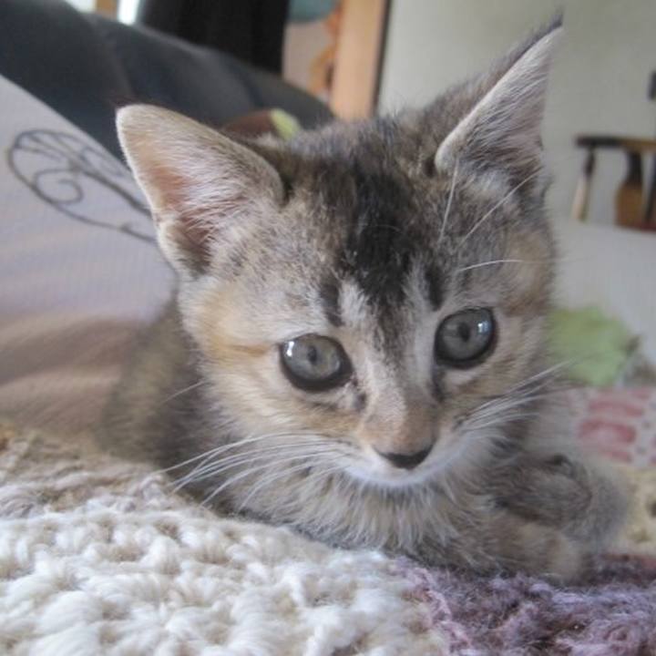 355fb1ab e3a7 4a0b 95f4 bb2dcf83ffd5 1589000099709