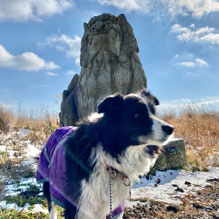 355fb5d6 5c1a 45e8 8f55 1fd4b0aee57c 1671514852611