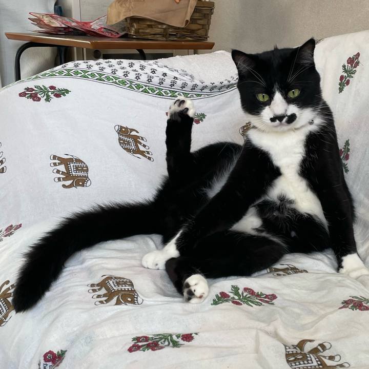 355fe35a afff 4917 87dd ced7437b4525 1655073344036