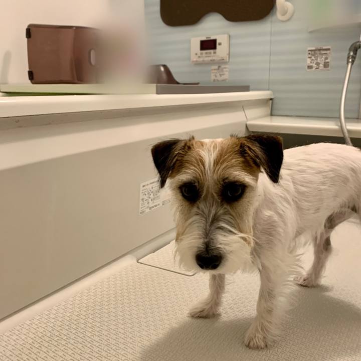 355ff2eb a125 4320 a2f1 3673dc150451 1667313586266