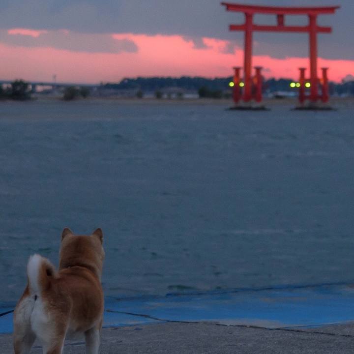 35600751 3bf5 4c36 8eaa d300abb0d756 1515661522831