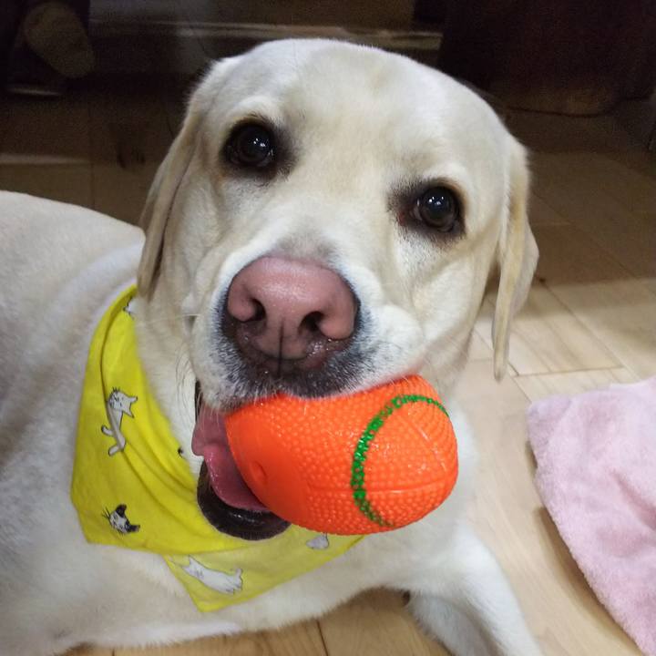 35600c9d d142 4d57 a70f 2500f1f0bb0f 1519733286302