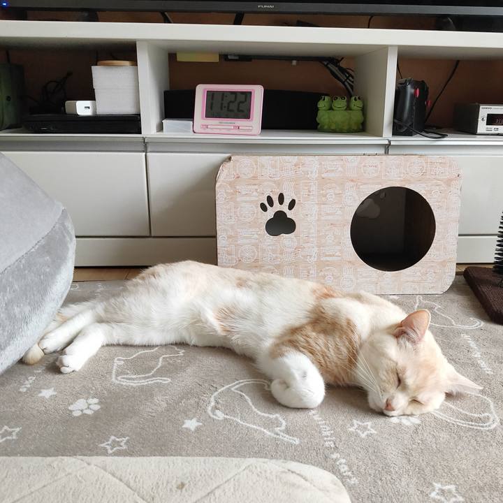 3560184a 3707 4e66 a516 01fa56f727d6 1682476141417