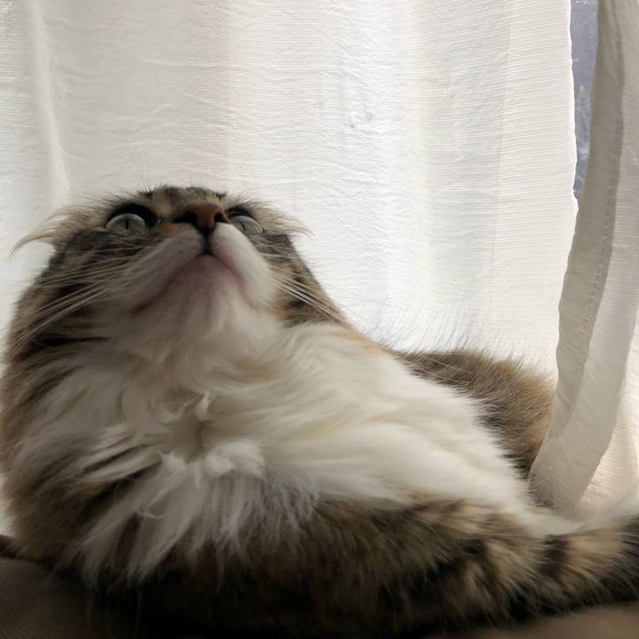 356066cd a419 44ca 9b86 576283a80440 1543627136466