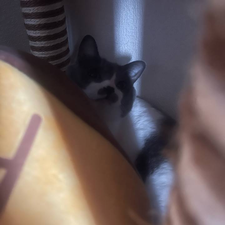 35608cf4 d259 4786 a6b5 52d55e48db07 1690512404080