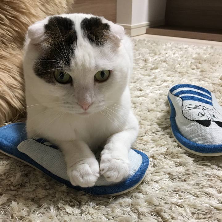 3560c0a4 139a 4ca4 852c 59fec6494916 1520513140621