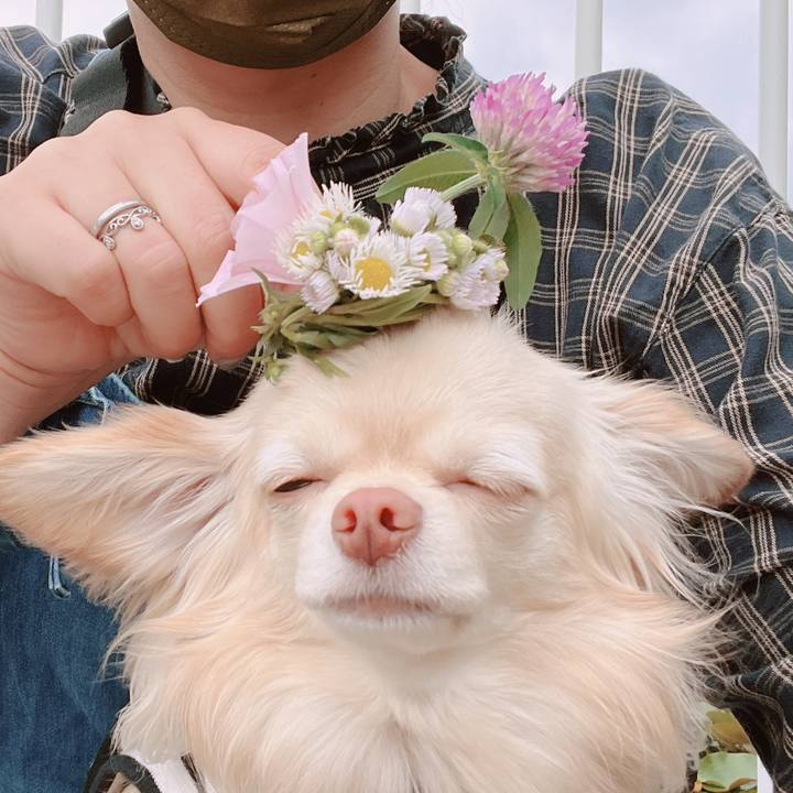 3560ca62 2c92 4aeb 8f90 c9ec304379e9 1654678614650