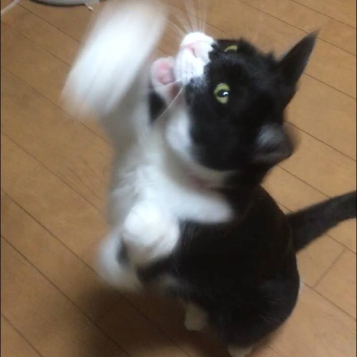 3560d5aa b830 4e02 bd27 7ee42972828d 1592816277243