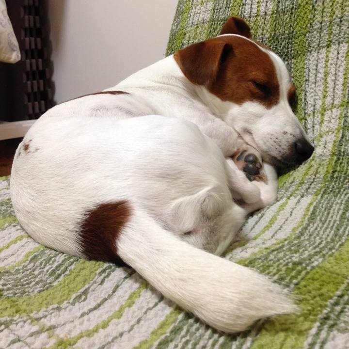 35614e49 849c 44d2 870c a1c6e6647cb2 1508231203172