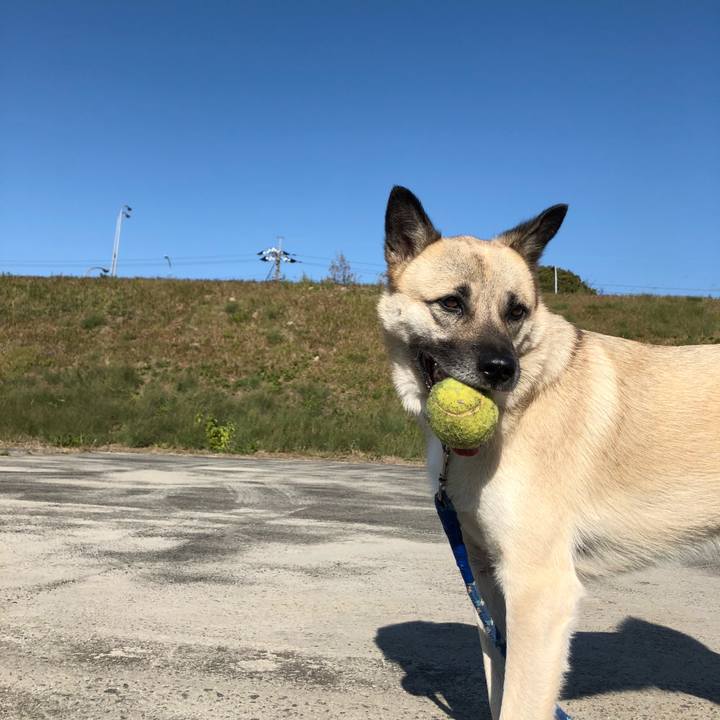 35615db0 86b5 413d ae07 b7396efbf69e 1606650032662