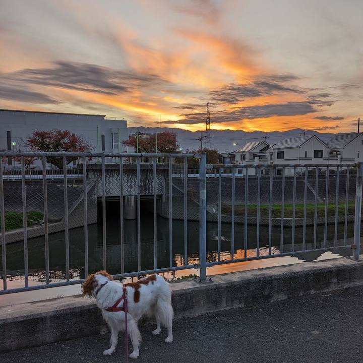 356193be d966 4655 be5e dfe52f3558ae 1668290370264