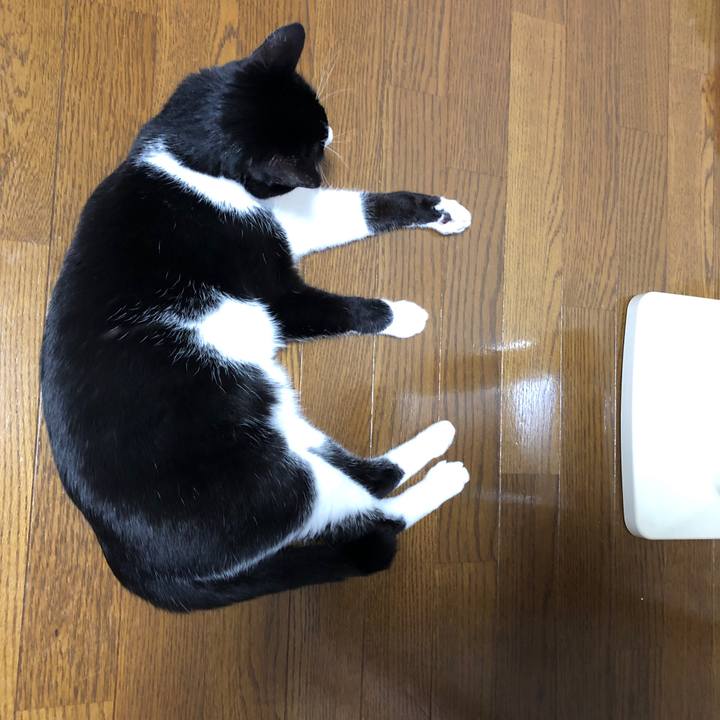 3561a07d 3716 4e85 b75c 9c8a23b55b4c 1543292639312