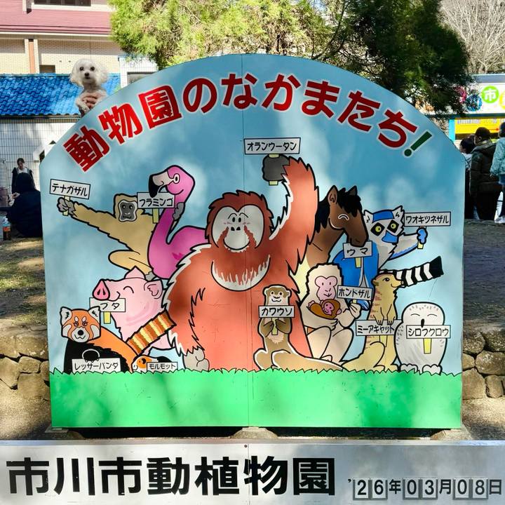 3561a5a0 ae7d 4ed9 9f8b 69a85e7e9e07 1773147184409