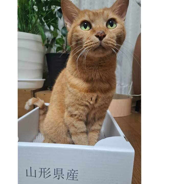 3561ae38 aa61 4a99 9169 add340b6aedc 1760249746504