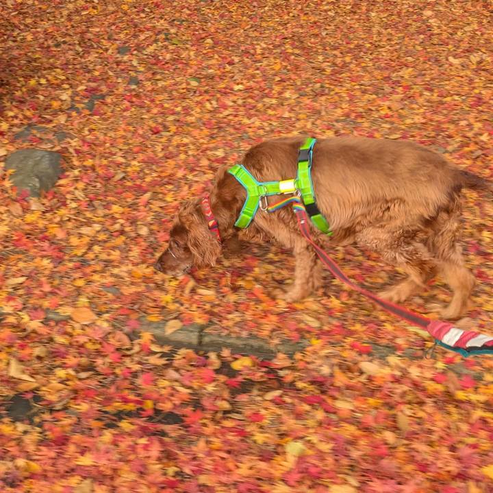 3561c9e8 d63f 4c08 9ca3 60b377334e65 1764281354907