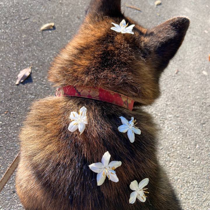 3561cd59 eb5f 4b82 89c3 81b48ebfd02c 1591576669210