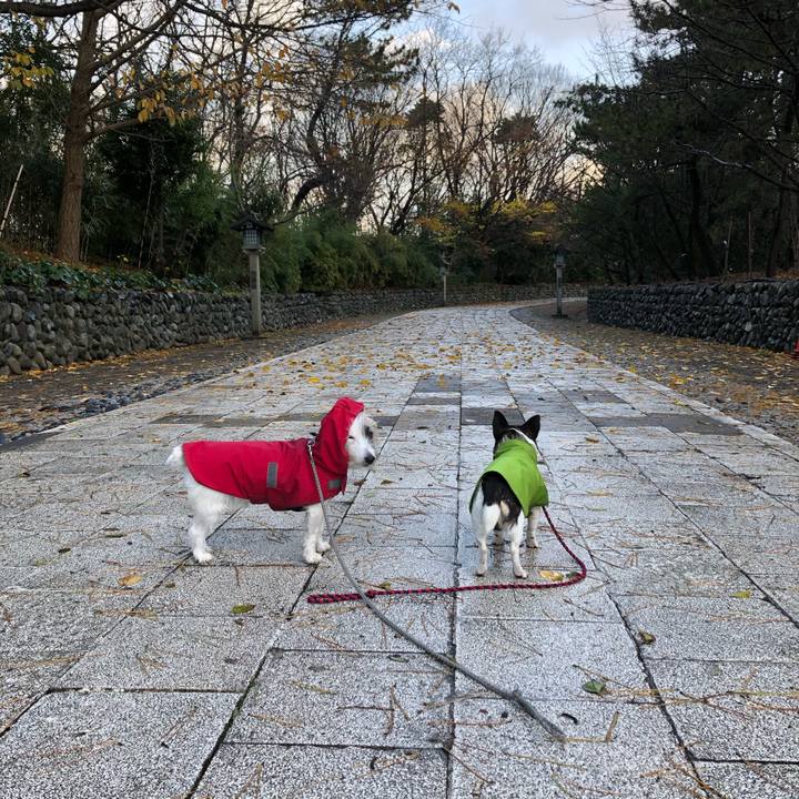 3561f748 3905 4c37 b433 030a7bafd6aa 1575418387882