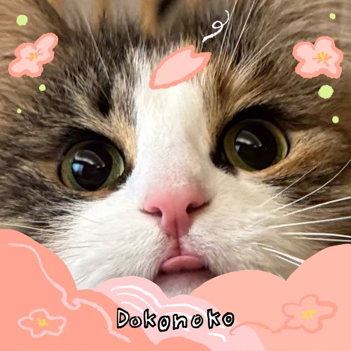 35622bef 8ba6 49d6 bce0 b95e539abc1f 1775550791720