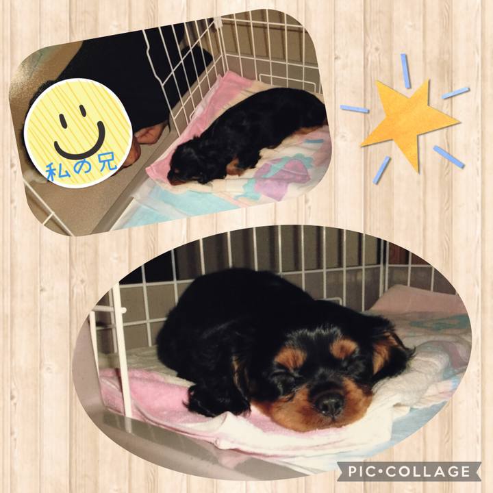 35623cd5 de97 433f 9bc0 3be5004f7047 1624350869476