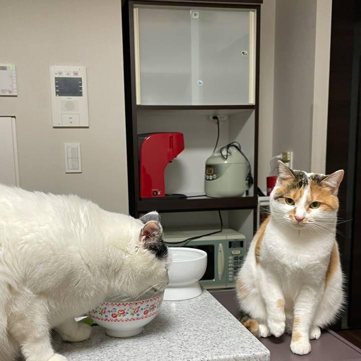 356244af f53d 43fe 8db8 b198df4241a8 1607692991692