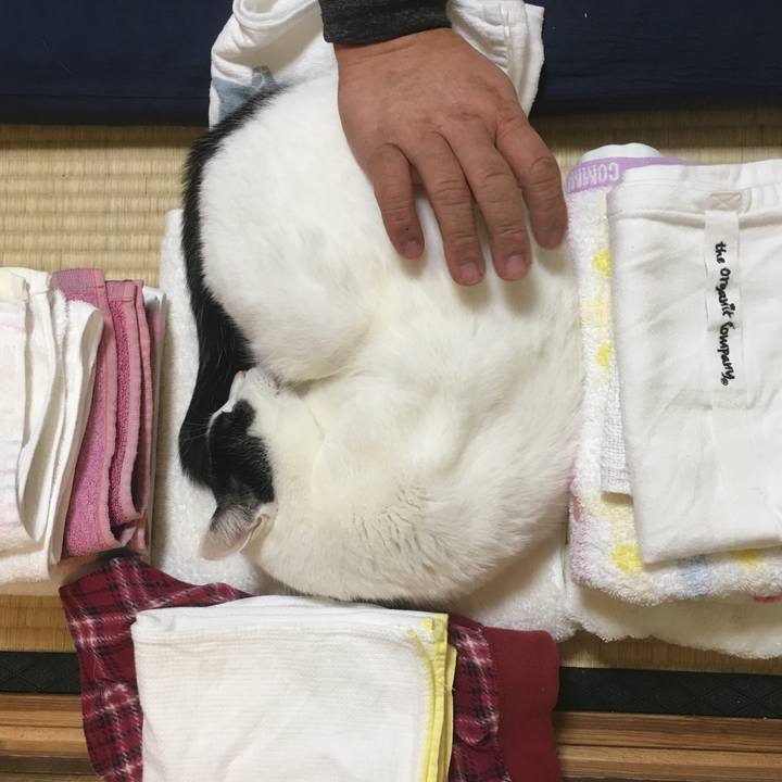 35624dec 2738 4ca8 bac1 c31d90b53651 1581171965078