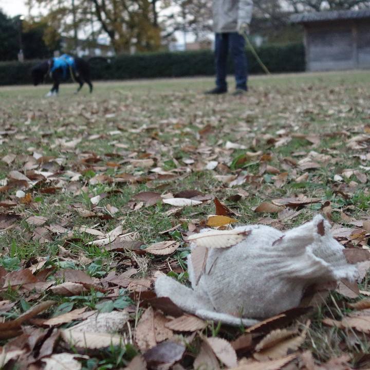 3562607a 9496 4037 b13e 0f0b94e55a95 1607560707603