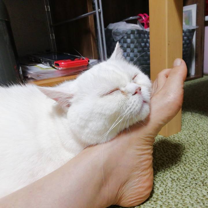 356261ce 5f6f 424f 89b7 19e4904f1189 1677925845189