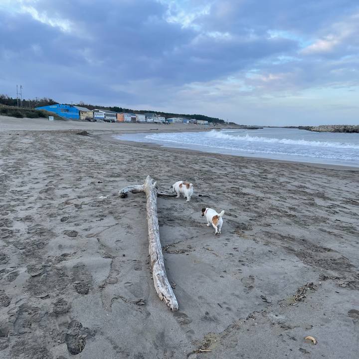 356299f9 68bb 457b a286 a924df14586c 1731367008359